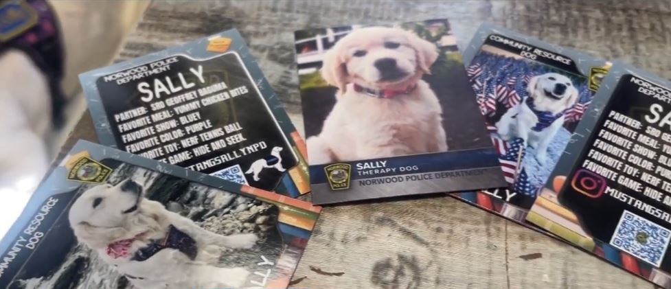 <i>WBZ via CNN Newsource</i><br/>Police departments in Massachusetts are building bonds with local students in a creative new way. Special trading cards are helping children get more comfortable with officers across the state