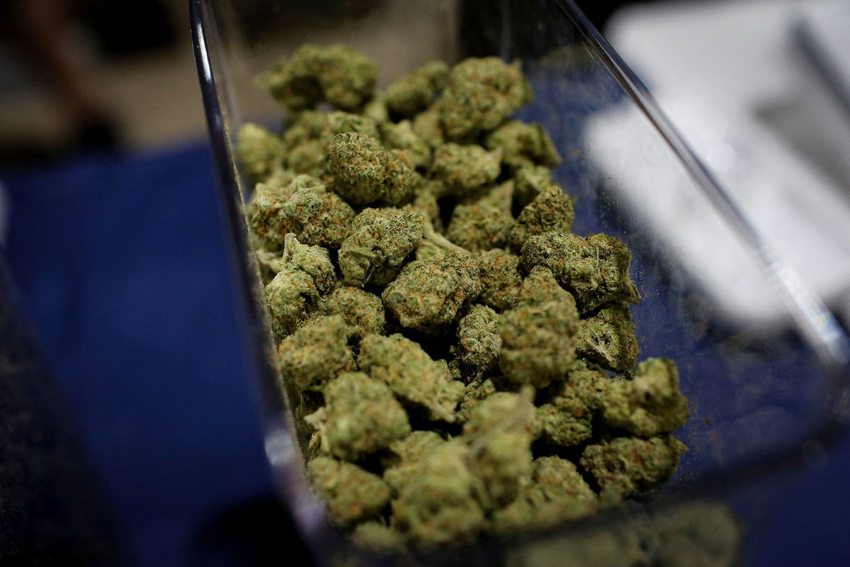 <i>Marco Bello/Reuters via CNN Newsource</i><br/>Cannabis buds are seen in a container during the Cannadelic Miami expo