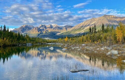 These 22 conservation-minded presidents preserved the most national park land