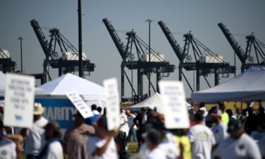 Dockworkers strike at the Bayport Container Terminal in Seabrook