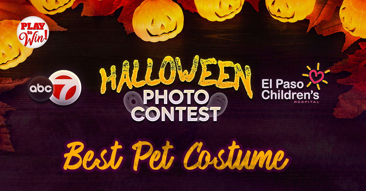 Halloween Photo Contest 2024 - Pet