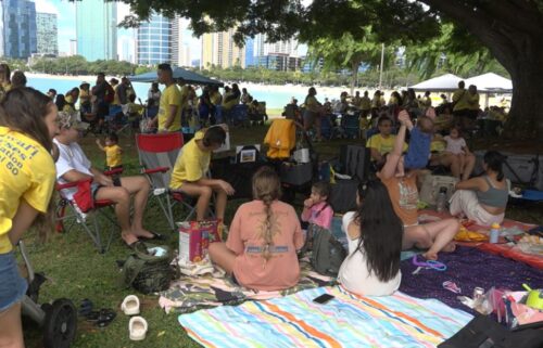 Union nurses held a picnic at Magic Island on Friday