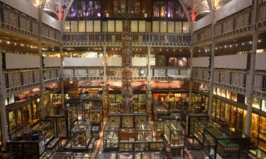 A view of the the Pitt Rivers Museum in Oxford