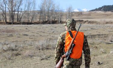 Why hunting matters: How hunters keep economies thriving and prevent environmental catastrophe